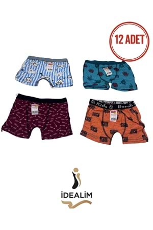 DORUK ERK ÇOCUK 12Lİ BASKILI BOXER - ASORTİ - 2